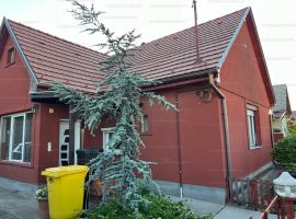 Gyál, Pest megye Eladó családi ház