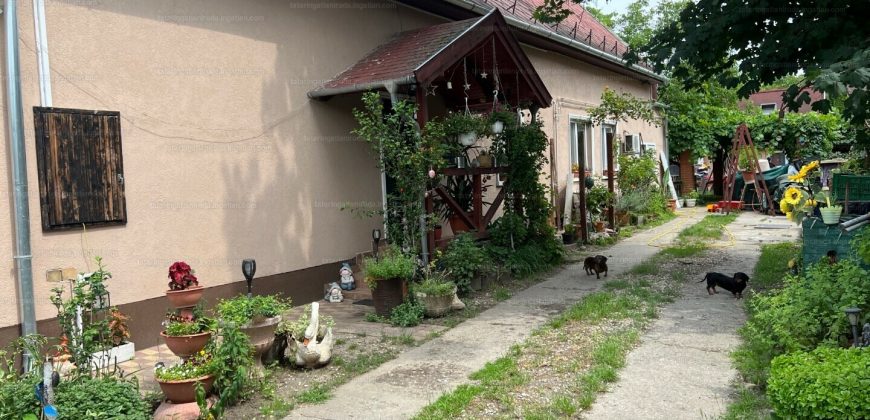 Gyál, Pest megye Eladó családi ház