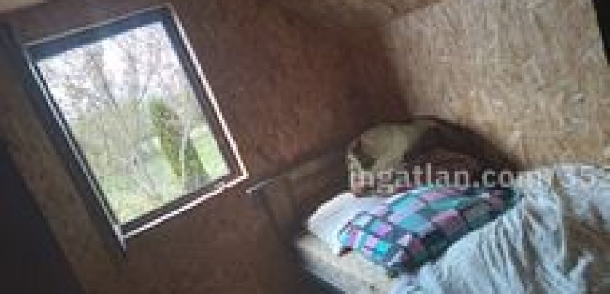 Tiszadadán nyaraló eladó