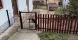 Gyálon két generációs családi ház eladó